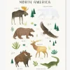 Affiche Animaux D’Amérique Du Nord Living Earth LILIPINSO Marron – Lilipinso vente en ligne pas cher 16