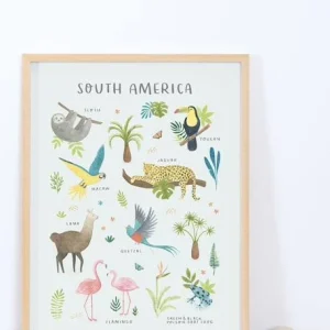 boutiqued en ligne Affiche Animaux D’Amérique Du Sud Living Earth LILIPINSO Multicolore – Lilipinso 6