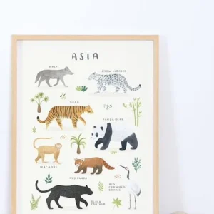 Affiche Animaux D’Asie Living Earth LILIPINSO Gris – Lilipinso de garantie authentique 6