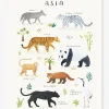 Affiche Animaux D’Asie Living Earth LILIPINSO Gris – Lilipinso de garantie authentique 13