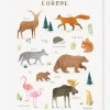 à prix très bas Affiche Animaux D’Europe Living Earth LILIPINSO Marron – Lilipinso 10