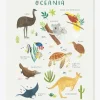 Affiche Animaux D’Océanie Living Earth LILIPINSO Marron – Lilipinso pas cher 14